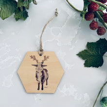 Load image into Gallery viewer, Christmas Decorations