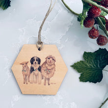 Load image into Gallery viewer, Christmas Decorations