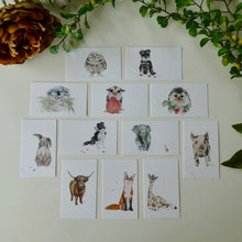 Load image into Gallery viewer, Best Seller Pack