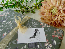 Load image into Gallery viewer, Best Seller Pack