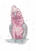 Load image into Gallery viewer, Skittles Greeting Card