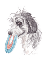 Load image into Gallery viewer, Tag Greeting Card