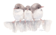 Load image into Gallery viewer, Three Little Wrens Greeting Card