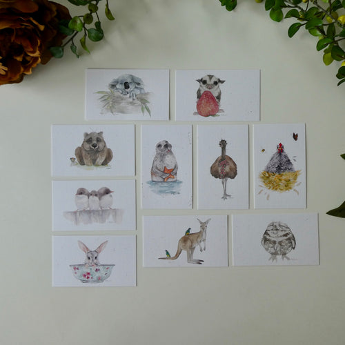 Australian animal watercolour card pack