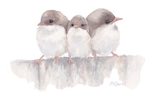 Load image into Gallery viewer, Three Little Wrens Print
