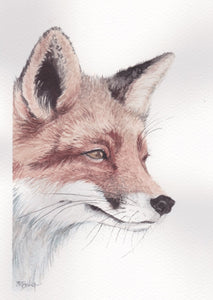 Fox watercolour painting