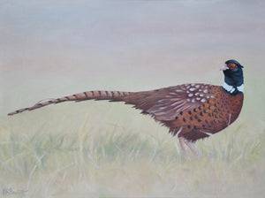 Pheasant Oil Painting