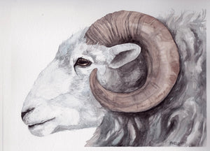 Ram watercolour painting